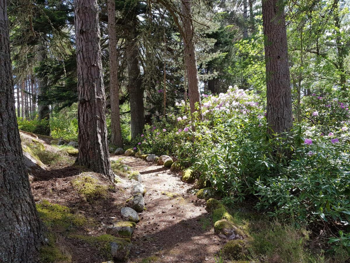 Cambus O' May Traditional Highland Hotel Ballater Eksteriør bilde